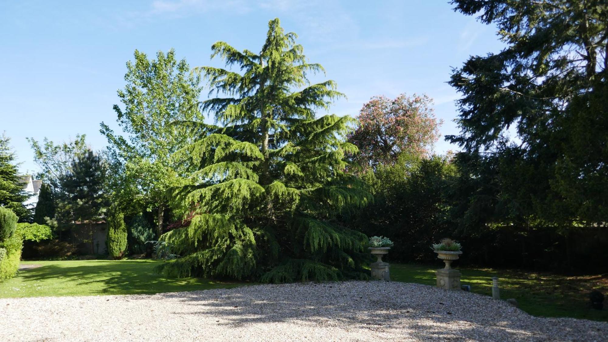 Kerrington House Hotel Axminster Exterior foto